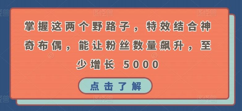 掌握这两个野路子，特效结合神奇布偶，能让粉丝数量飙升，至少增长 5000【揭秘】-玖哥网创