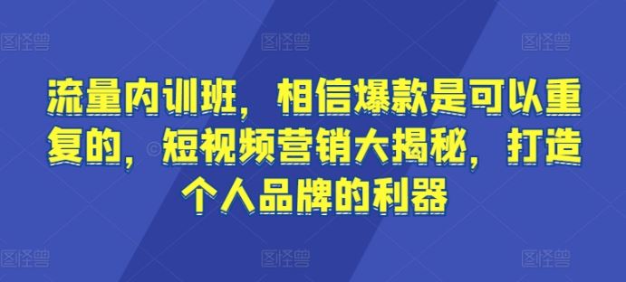 流量内训班，相信爆款是可以重复的，短视频营销大揭秘，打造个人品牌的利器-玖哥网创