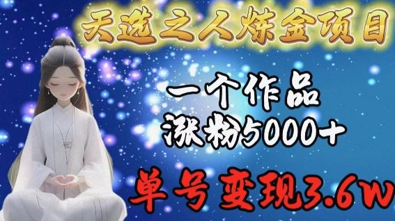 天选之人炼金项目，一个作品涨粉5000+，单号变现3.6w【揭秘】-玖哥网创