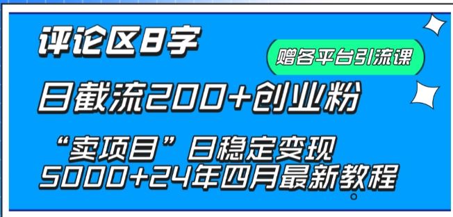 抖音评论区8字日截流200+创业粉 “卖项目”日稳定变现5000+【揭秘】-玖哥网创