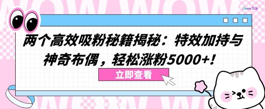 两个高效吸粉秘籍揭秘：特效加持与神奇布偶，轻松涨粉5000+【揭秘】-玖哥网创