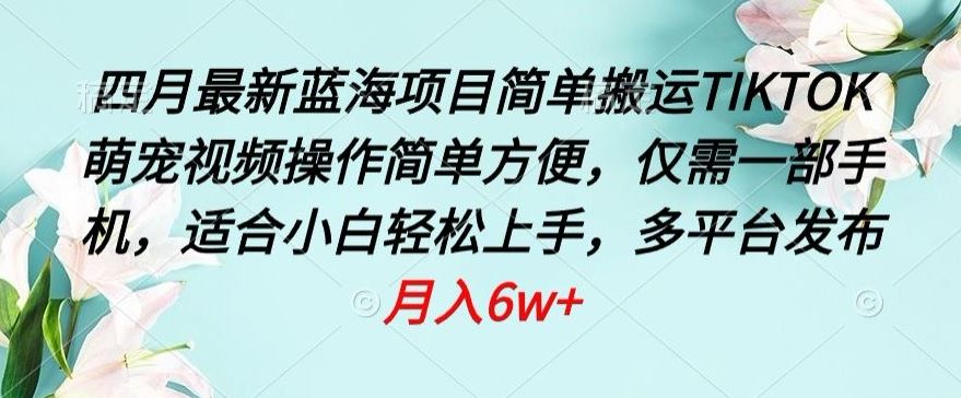 四月最新蓝海项目，简单搬运TIKTOK萌宠视频，操作简单方便，仅需一部手机【揭秘】-玖哥网创