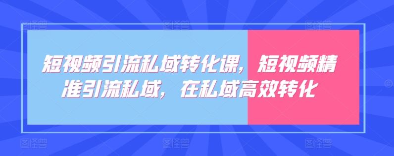 短视频引流私域转化课，短视频精准引流私域，在私域高效转化-玖哥网创