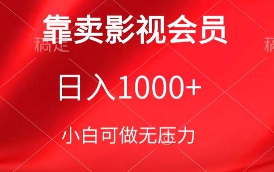 靠卖影视会员，日入1000+，落地保姆级教程，新手可学【揭秘】-玖哥网创