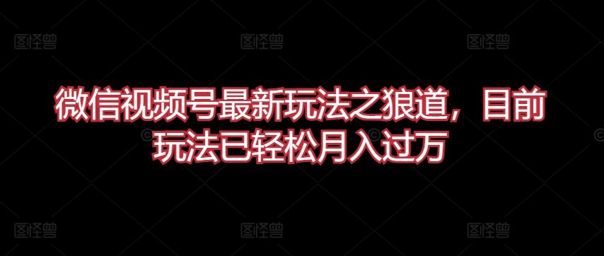 微信视频号最新玩法之狼道，目前玩法已轻松月入过万【揭秘】-玖哥网创