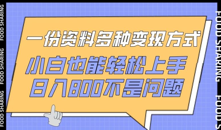 一份资料多种变现方式，小白也能轻松上手，日入800不是问题【揭秘】-玖哥网创