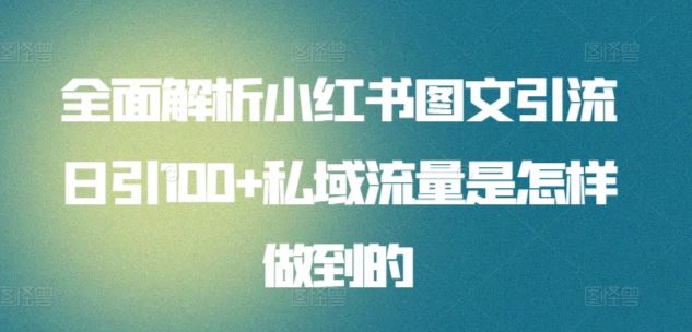 全面解析小红书图文引流日引100+私域流量是怎样做到的【揭秘】-玖哥网创