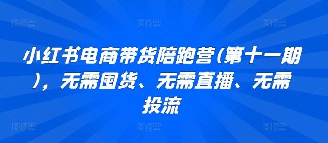 小红书电商带货陪跑营(第十一期)，无需囤货、无需直播、无需投流-玖哥网创