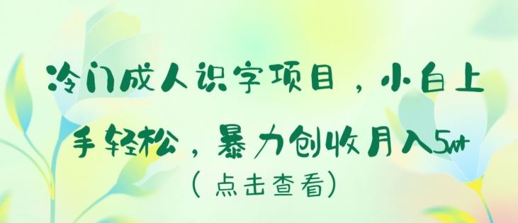 冷门成人识字项目，小白上手轻松，暴力创收月入5w+【揭秘】-玖哥网创