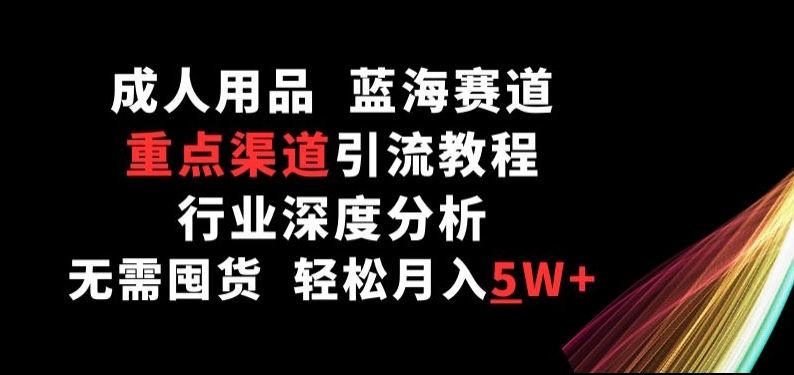 成人用品，蓝海赛道，重点渠道引流教程，行业深度分析，无需囤货，轻松月入5W+【揭秘】-玖哥网创