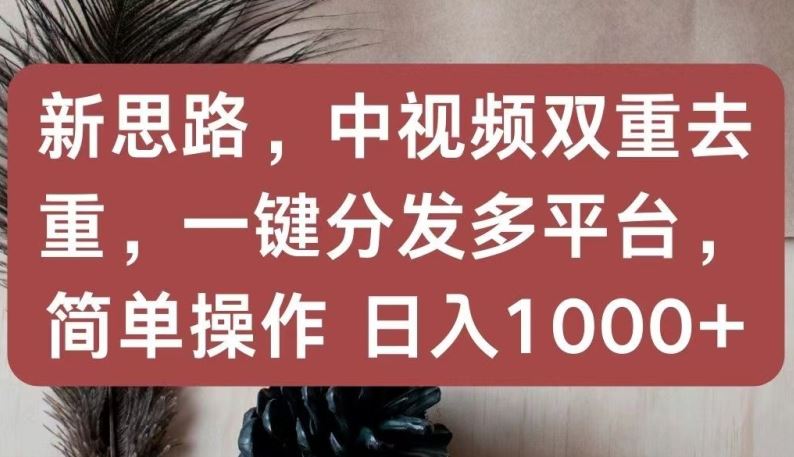 新思路，中视频双重去重，一键分发多平台，简单操作，日入1000+【揭秘】-玖哥网创