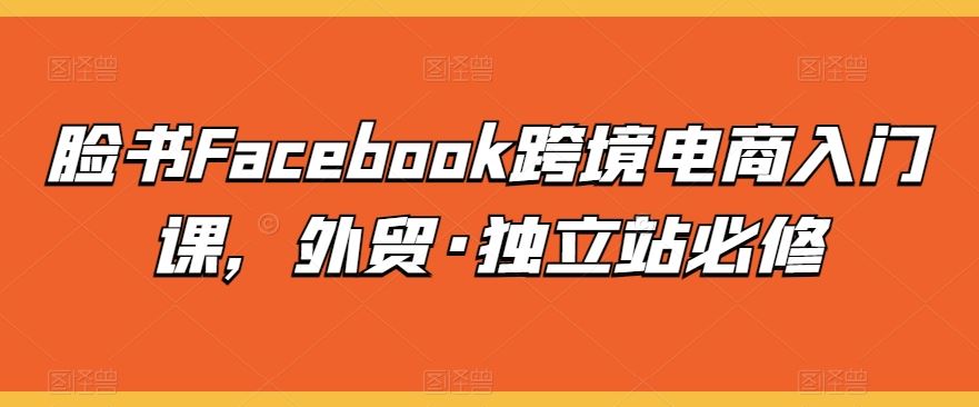 脸书Facebook跨境电商入门课，外贸·独立站必修-玖哥网创