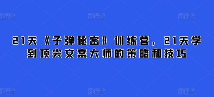 21天《子弹秘密》训练营，21天学到顶尖文案大师的策略和技巧-玖哥网创