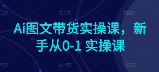 Ai图文带货实操课，新手从0-1 实操课-玖哥网创