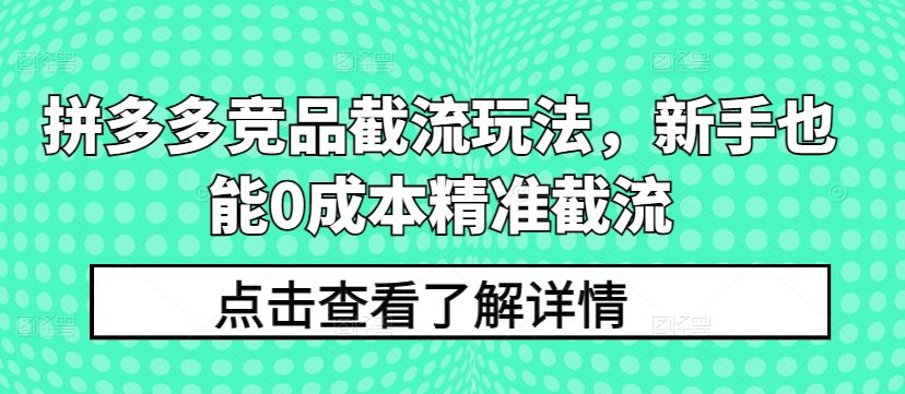 拼多多竞品截流玩法，新手也能0成本精准截流-玖哥网创