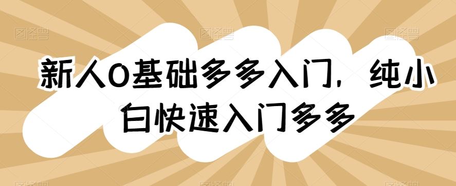新人0基础多多入门，​纯小白快速入门多多-玖哥网创