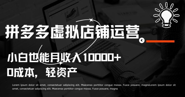 拼多多虚拟店铺运营小白也能月收入10000+【揭秘】-玖哥网创