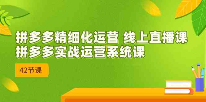 拼多多精细化运营 线上直播课：拼多多实战运营系统课（更新47节）-玖哥网创