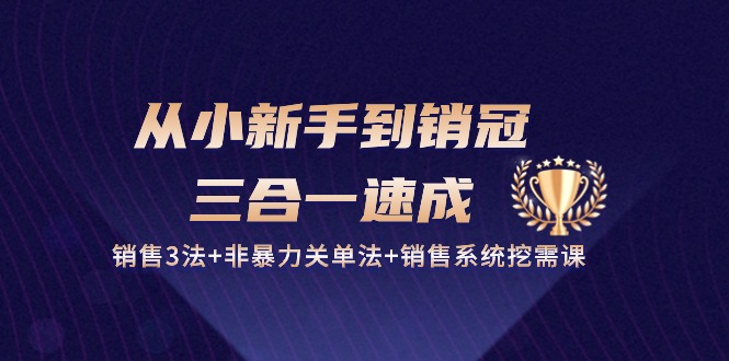 从小新手到销冠三合一速成：销售3法+非暴力关单法+销售系统挖需课 (27节)-玖哥网创