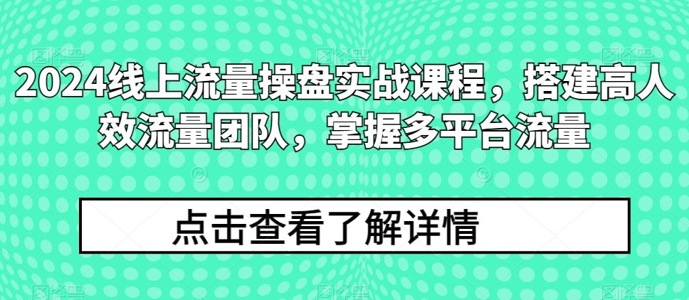 2024线上流量操盘实战课程，搭建高人效流量团队，掌握多平台流量-玖哥网创