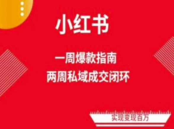 爆款小红书免费流量体系课程(两周变现)，小红书电商教程-玖哥网创