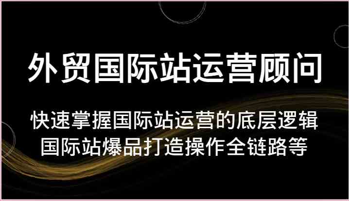 外贸国际站运营顾问-快速掌握国际站运营的底层逻辑，国际站爆品打造操作全链路等-玖哥网创