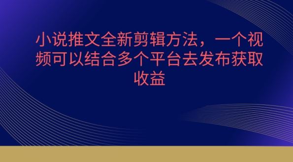 小说推文全新剪辑方法，一个视频可以结合多个平台去发布获取【揭秘】-玖哥网创