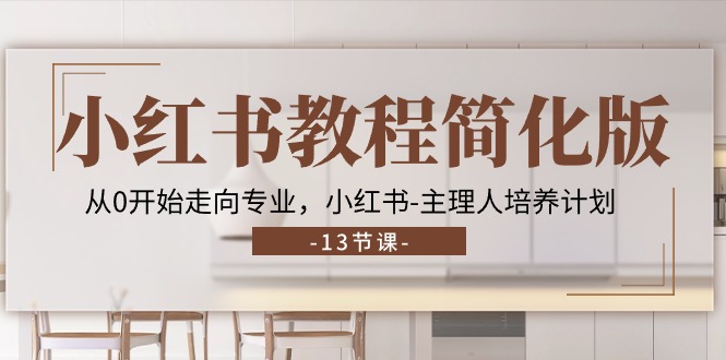 小红书教程简化版，从0开始走向专业，小红书主理人培养计划 (13节)-玖哥网创
