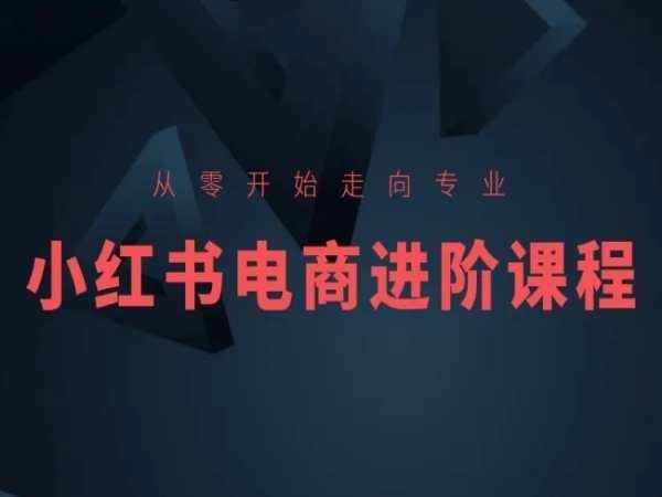 从零开始走向专业，小红书电商进阶课程-玖哥网创