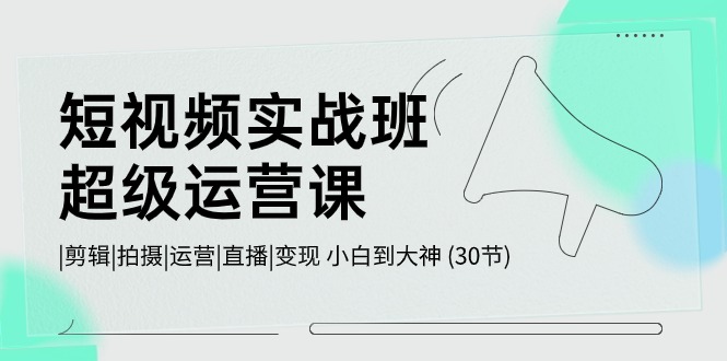 短视频实战班超级运营课 |剪辑|拍摄|运营|直播|变现 小白到大神 (30节)-玖哥网创