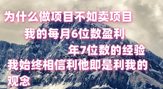 做项目不如卖项目，每月6位数盈利，年7位数经验-玖哥网创