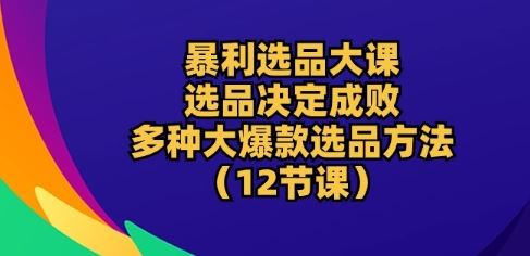 暴利选品大课：选品决定成败，教你多种大爆款选品方法(12节课)-玖哥网创