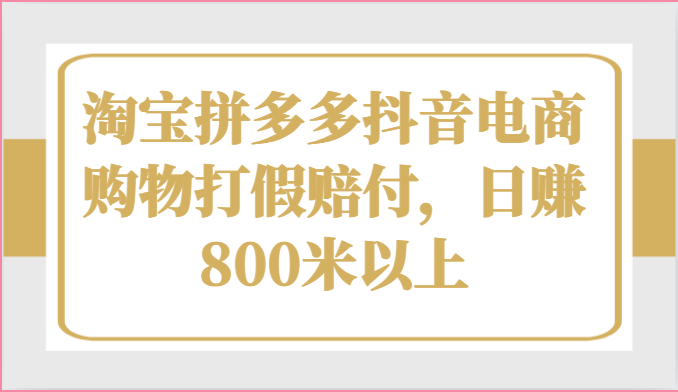 淘宝拼多多抖音电商购物打假赔付，日赚800米以上-玖哥网创