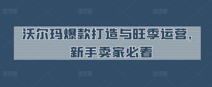 沃尔玛爆款打造与旺季运营，新手卖家必看-玖哥网创