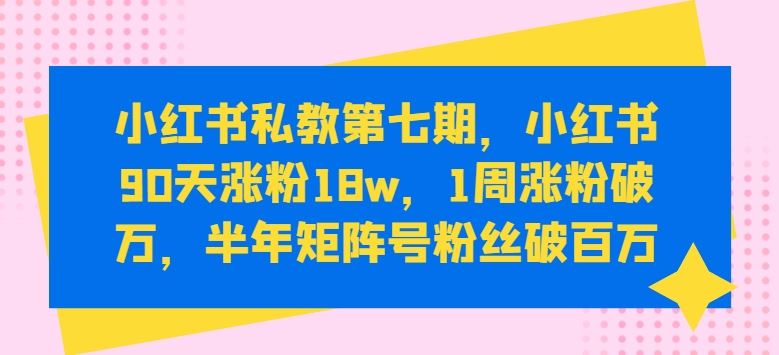 小红书私教第七期，小红书90天涨粉18w，1周涨粉破万，半年矩阵号粉丝破百万-玖哥网创