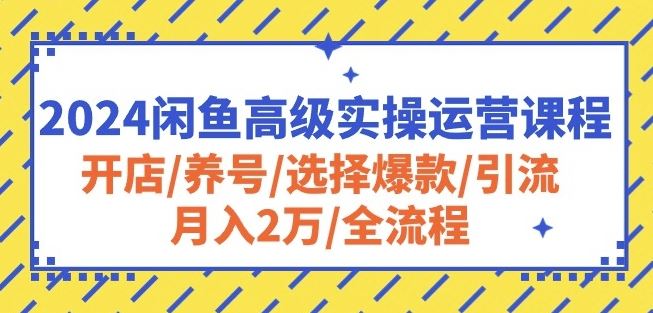 2024闲鱼高级实操运营课程：开店/养号/选择爆款/引流/月入2万/全流程-玖哥网创