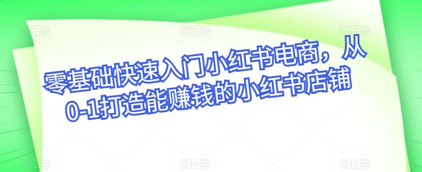 零基础快速入门小红书电商，从0-1打造能赚钱的小红书店铺-玖哥网创