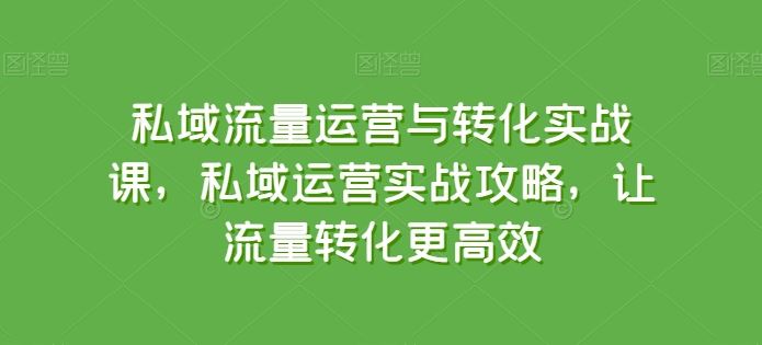 私域流量运营与转化实战课，私域运营实战攻略，让流量转化更高效-玖哥网创