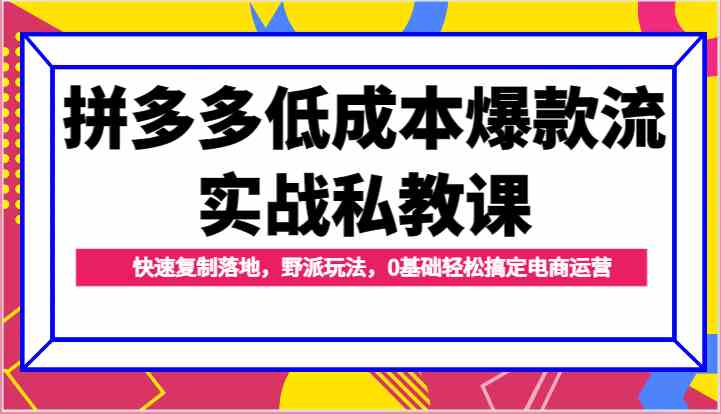 拼多多低成本爆款流实战私教课，快速复制落地，野派玩法，0基础轻松搞定电商运营-玖哥网创