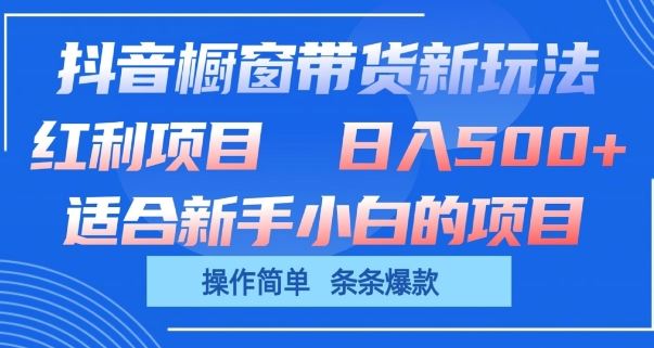 抖音橱窗带货新玩法，单日收益几张，操作简单，条条爆款【揭秘】-玖哥网创