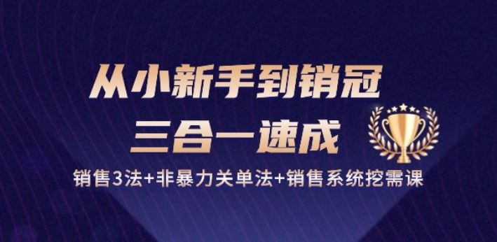 从小新手到销冠 三合一速成：销售3法+非暴力关单法+销售系统挖需课 (27节)-玖哥网创