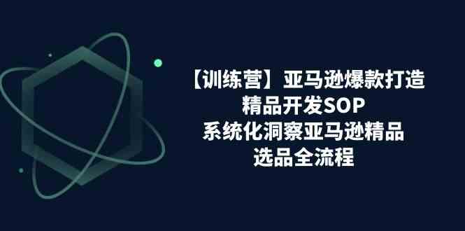 亚马逊爆款打造之精品开发SOP【训练营】，系统化洞察亚马逊精品选品全流程-玖哥网创