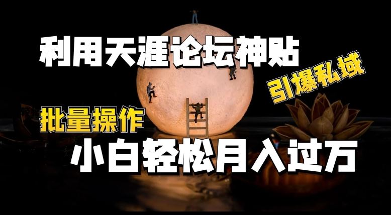 利用天涯论坛神贴，引爆私域，批量操作，小白轻松月入过w【揭秘】-玖哥网创