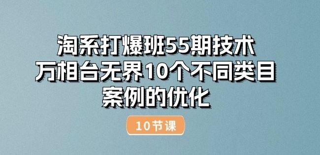 淘系打爆班55期技术：万相台无界10个不同类目案例的优化(10节)-玖哥网创