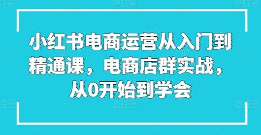 小红书电商运营从入门到精通课，电商店群实战，从0开始到学会-玖哥网创