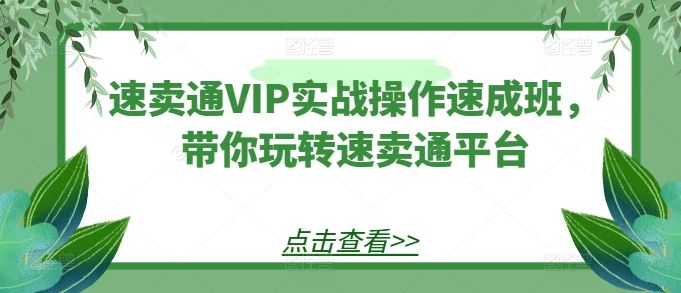 速卖通VIP实战操作速成班，带你玩转速卖通平台-玖哥网创