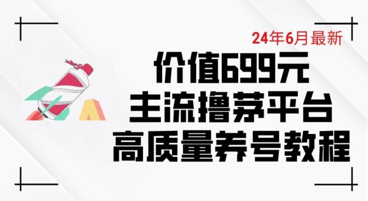 6月最新价值699的主流撸茅台平台精品养号下车攻略【揭秘】-玖哥网创