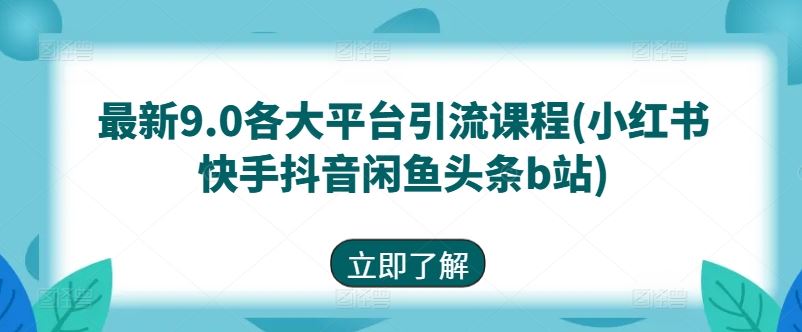 最新9.0各大平台引流课程(小红书快手抖音闲鱼头条b站)-玖哥网创