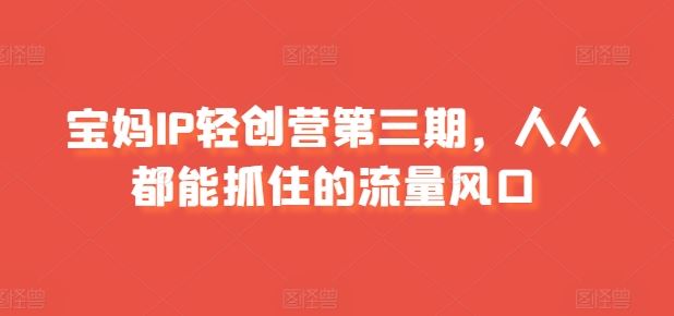宝妈IP轻创营第三期，人人都能抓住的流量风口-玖哥网创