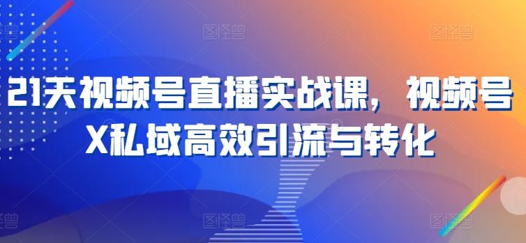 21天视频号直播实战课，视频号X私域高效引流与转化-玖哥网创